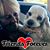Sherry Cartmell's profile image