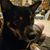Clayton Haworth's profile image