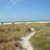 Sandy Beach's profile image
