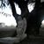 Jeanne Lindner's profile image