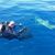 Paul Seldes's profile image