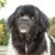 Jean Wilson's profile image