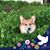 Tim Wittmer's profile image