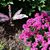 Kathy Nieman Sallee's profile image