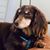 Tammy Pannell Morris's profile image