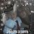 Elizabeth Boynton Holt's profile image