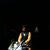 Siddharth Tiwari's profile image