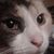David Guerra's profile image