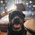 Yvette Flores's profile image