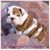 Christine Krempasky's profile image