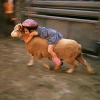 Brandi Marcum's profile image