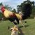 Elby Duhon's profile image