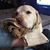 Michelle McPherson Boussiala's profile image