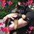Steve Urmston's profile image