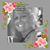 Melissa Padgett Hammett's profile image