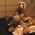 Pam Wenzel's profile image