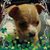 Tara Hargrove's profile image