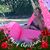 Christine Dobosiewicz Santora's profile image