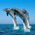 Dawn Birkett's profile image