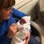 Maureen Tillotson's profile image