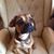 Carol Palangi's profile image