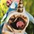 Joanie Abernethy Barr's profile image