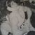 Darryl Moore's profile image