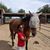Angie Reza Tures's profile image