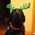 Carla Roberts Ideker's profile image