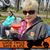 Sandy Speer's profile image