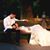 Elizabeth Cauchois's profile image