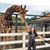 Sandy Irene's profile image