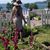Susan Stewart's profile image