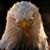 Beth Ro's profile image