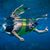 Rich Grof's profile image
