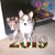 Janie Diederich-Nodine's profile image