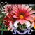 Andrea Gomez's profile image