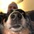 Frank Redder's profile image