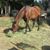 Linda Weaver's profile image