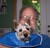 Kenneth B.'s profile image
