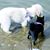 Nichole M Flaherty's profile image