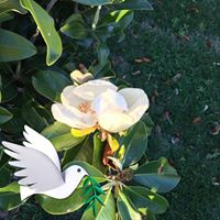 Liz Fyler-Quick's profile image