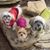 Tami Greer's profile image