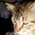 Nicholas Twardowski's profile image