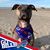 Jennifer Shomper's profile image