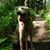 Ken Ploeger's profile image
