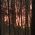 Mark Brushy Brost's profile image
