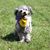 Luann Champeau's profile image