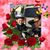Alicia Khan's profile image