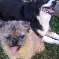 Lisa Livingstone-Munday's profile image